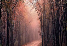 比特币的私钥,公钥,签名,钱包,都是什么意思?我下载了一个bitcoin-0