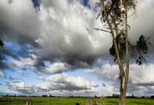 imToken里面的Tokenlon是什么