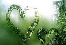 imtoken批量转账工具