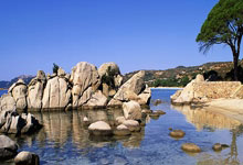 im钱包怎么会自己转账-（im钱包转币要手续费吗）